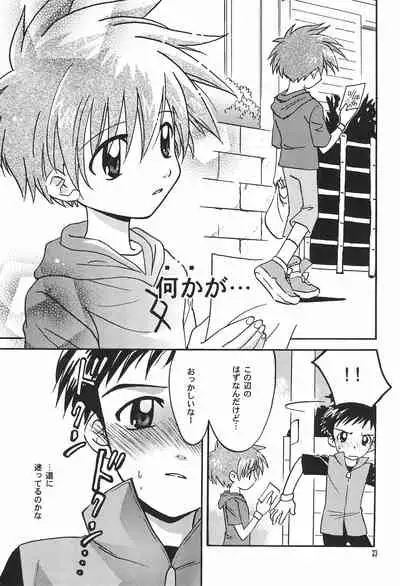 (C62) [Totocal LAND (Watase Hiroko)] FLOWER (Digimon Tamers)