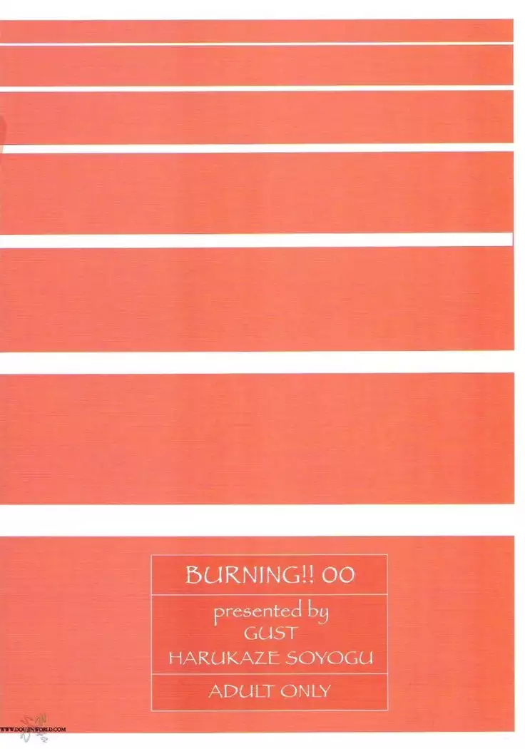 Gundam Seed Destiny - Burning