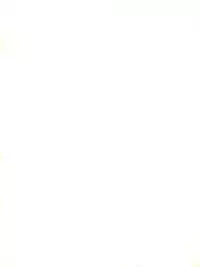 FLOWER VICTIM II MARYBELL EDITION