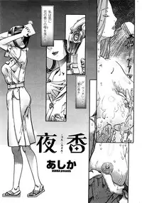 COMIC Penguin Celeb 2009-02 Vol. 18 [Incomplete]