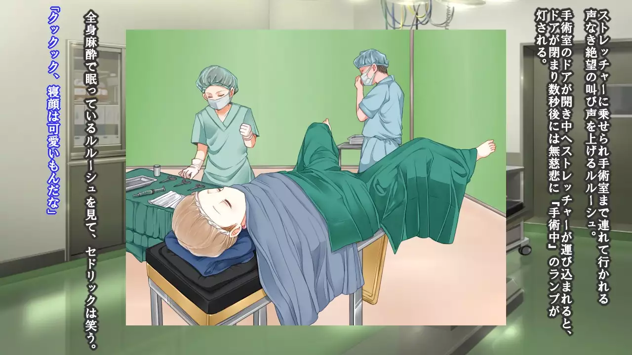 Reborn Prince Jo ~Haichaku Ouji wa Medorei~