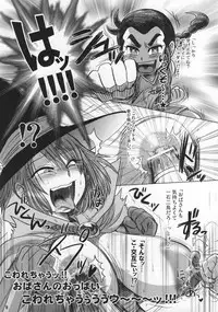 (C73) [Esecool (BOSS Chin)] Midori no Oba-san (Dragon Quest III)