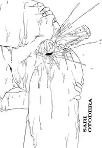 [Soramoto Koh] Cinderella Avenue