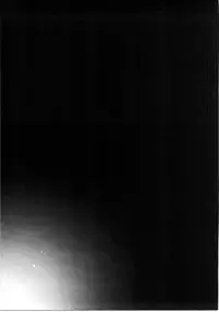 (C91) [Aterut (Kani)] MELT DOWN (METALMAX)