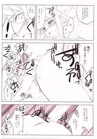 (C66) [Yaesaka (Yaesaka Satoru)] This Illusion (Fate/stay night)