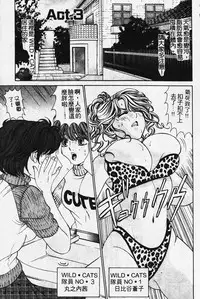 [Kobayashi Takumi] Wild Cats | 性感小野貓 [Chinese] [Incomplete]