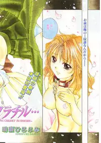 Comic Papipo 1999-04