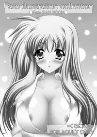 (C80) [chronicle (YUKITO)] FATE COLLECTION II (Mahou Shoujo Lyrical Nanoha)