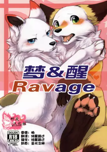 (Kansai! Kemoket 5) [D-Point! (Diga Tsukune)] Yume Utsutsu Lovage | 梦&醒 Ravage [Chinese] [虾皮汉化组]