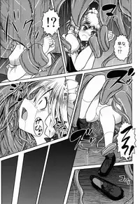 (Reitaisai 13) [Daiginjou Masshigura (Doburocky)] Shoku (Touhou Project)