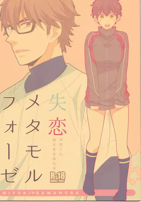 Shitsuren metamorufōze