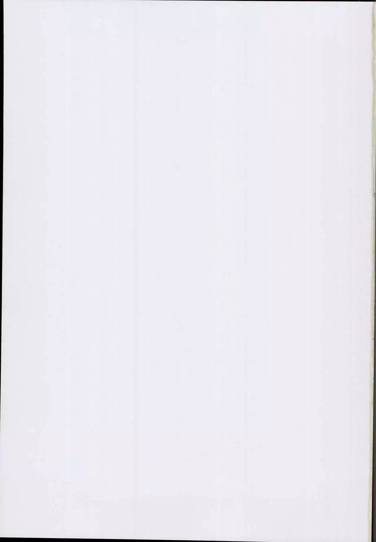 Sukima Youkai to Maji Kozukuri