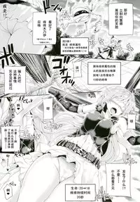 [Pamunosu (Koppamu)] Kochoverse (Shadowverse) [Chinese] [雷電浆個人漢化] [Digital]