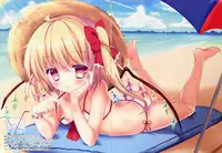 (C88) [CARAMEL CRUNCH! (Rikatan)] Sukumizu Flan-chan no Yuuwaku (Touhou Project)