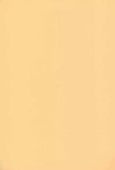 (SC11) [CHEROKEE (Maeda)] cherokee works for 20th century