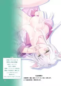 [Joukitei (Urase Shioji)] O-nashi Neko no Kyousou (Bakemonogatari) [English] {CGrascal} [Digital]