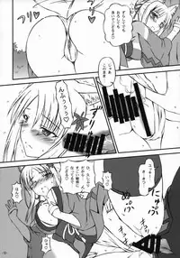 (COMIC1☆9) [Inaridou Shoten (Tsuzura, Kusanagi Ryuuiti)] Tochigami-sama no Oshigoto (DOG DAYS)