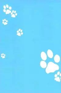 (C81) [Crazy9 (Ichitaka)] Ofuro de! Wanko Tomushizu no Hon (Durarara!!)