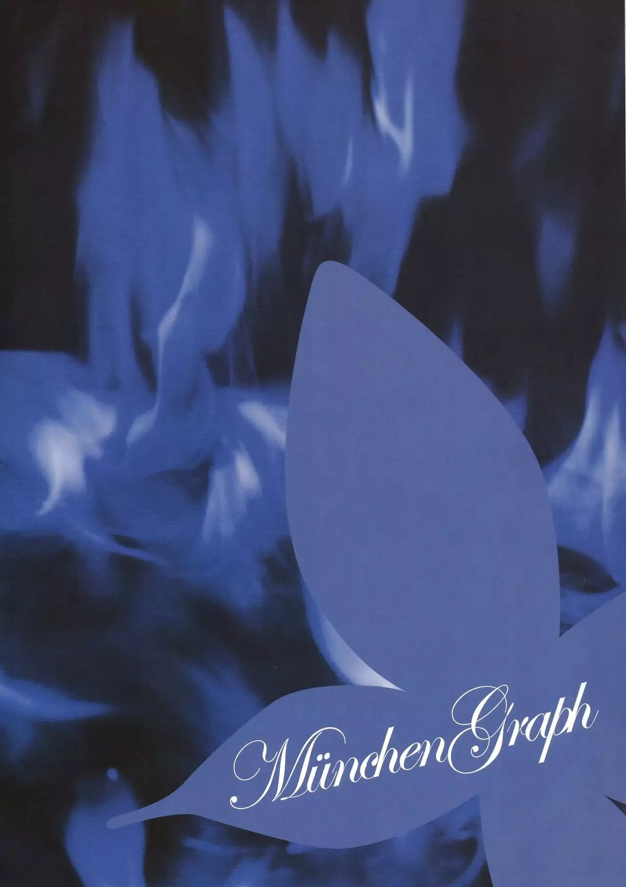 I only meant to stay awhile