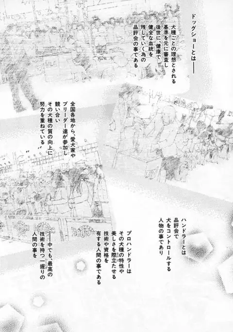 b-BOY Phoenix Vol.3 Tsundere Tokushuu