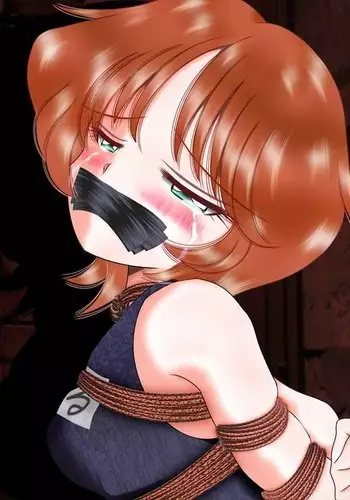 舶来少女シリーズ