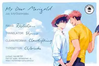 Marigold e | My Dear Marigold