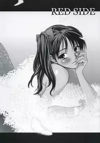 (C67) [KABAYAKIYA (Unagimaru)] RED SIDE (Fate/stay night)