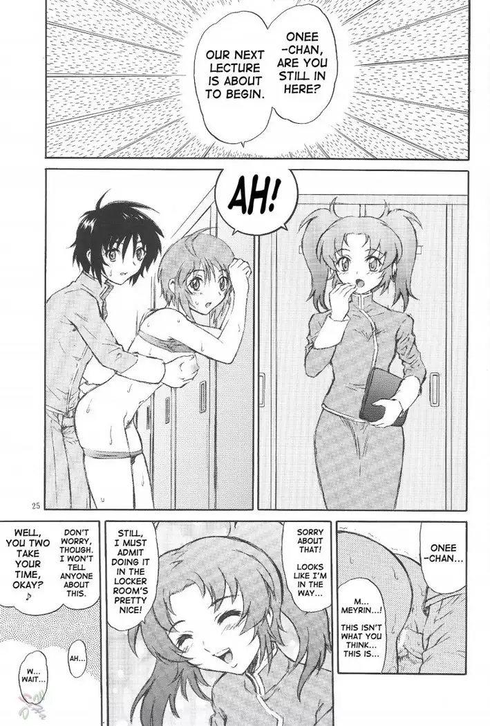 Gundam Seed Destiny - Burning