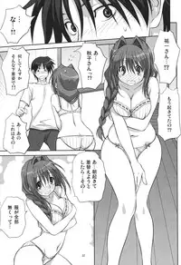 (C78) [Mitarashi Club (Mitarashi Kousei)] Akiko-san to Issho 6 (Kanon)