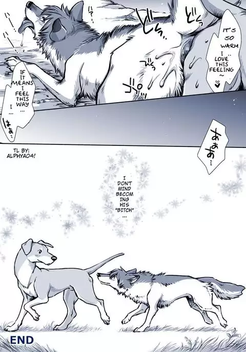 Aru Inu no Baai | A certain dog's situation