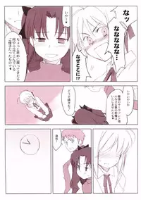 (C66) [Yaesaka (Yaesaka Satoru)] This Illusion (Fate/stay night)