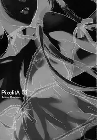 (C67) [Anime BROTHERS (Itsuki Kousuke)] PixelitA 03