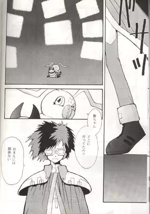 Sayonara Digimon Kaiser R