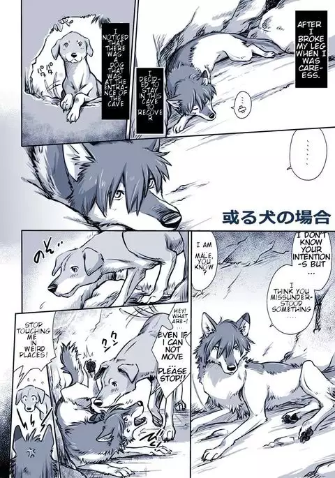 Aru Inu no Baai | A certain dog's situation