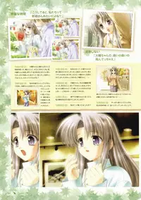 Canvas Visual Fan Book