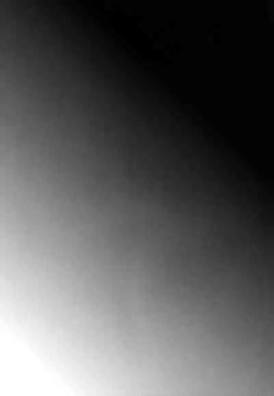 [Cannabis (Shimaji)] Kyousei Shinkon Seikatsu [English] [mysterymeat3] [Digital]