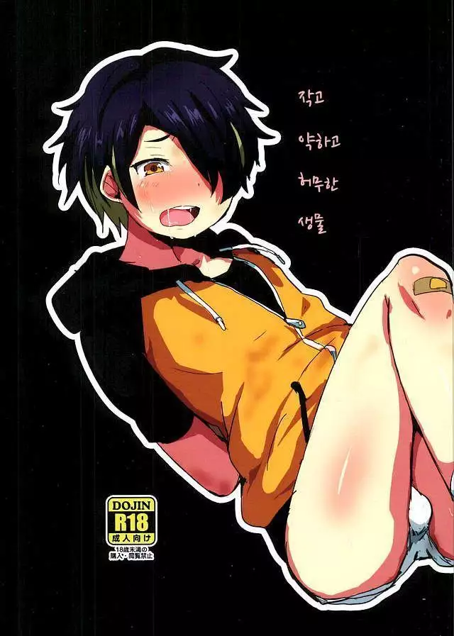 Chiisaku Yowaku Hakanai Ikimono