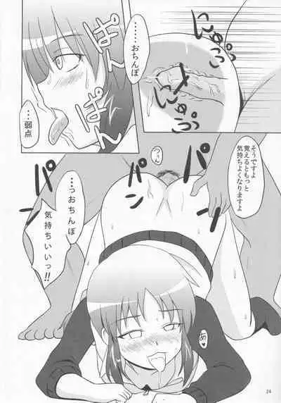 Pawaplus H 2012 Fuyu