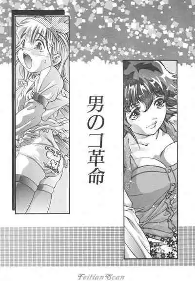 Ryoute Ippai no Houseki