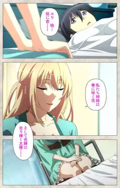 Ane Yome Quartet Kanzenban