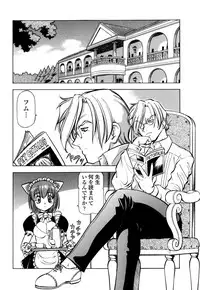 [Itoyoko] Mesu Neko - Maid Cats Story