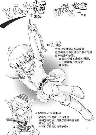 Toraware Hime Soushuuhen