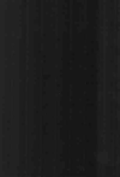 Shikiyoku Joji 2 - IMMORAL GIRLs 2nd