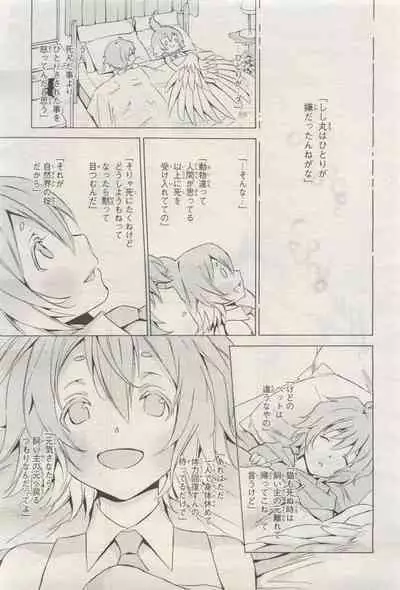 BE・BOY GOLD 2015-04