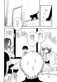 [Maeda Sengoku] Megamisou Panic