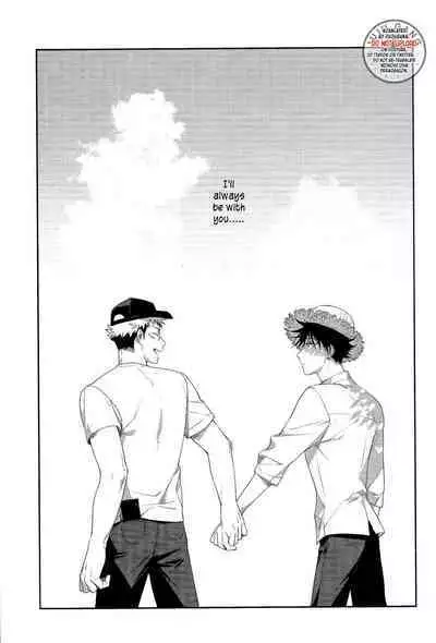 Marigold e | My Dear Marigold