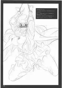 (C79) [Saketoba Meshi (Mekabu Aji Max)] Subete Hazusanai LV3 - Rakugakibon (Tactics Ogre)