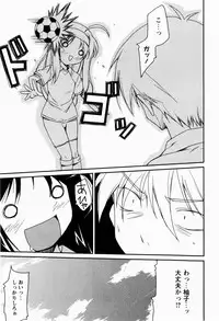 [Nippori] Daisy Blue