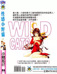 [Kobayashi Takumi] Wild Cats | 性感小野貓 [Chinese] [Incomplete]