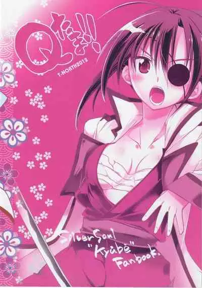 [T‐NORTH (Matsumoto Mitohi.)] QTama!! (Gintama)